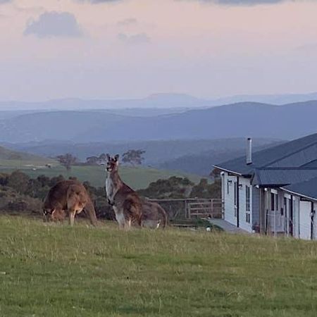 Rooks Edge Bed & Breakfast Gisborne Bagian luar foto