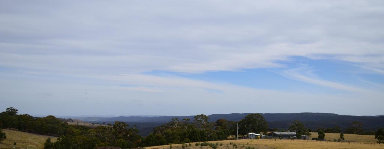 Rooks Edge Bed & Breakfast Gisborne Bagian luar foto