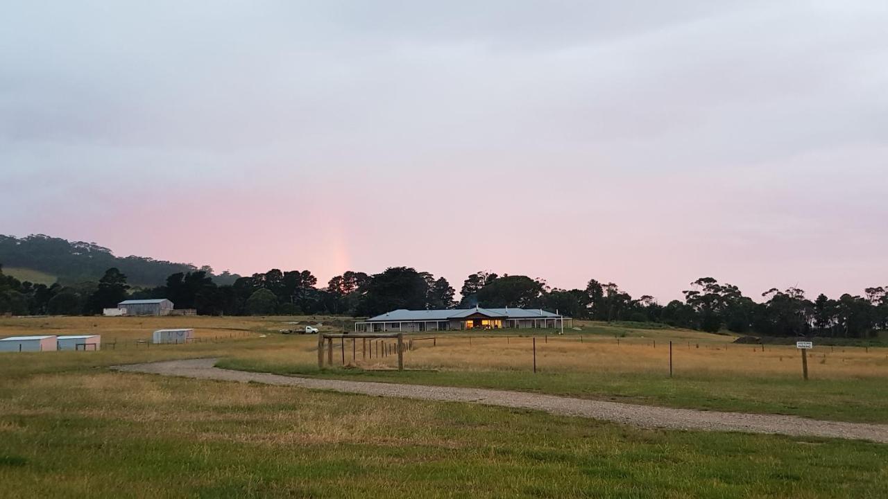 Rooks Edge Bed & Breakfast Gisborne Bagian luar foto