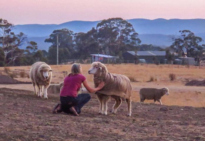 Rooks Edge Bed & Breakfast Gisborne Bagian luar foto