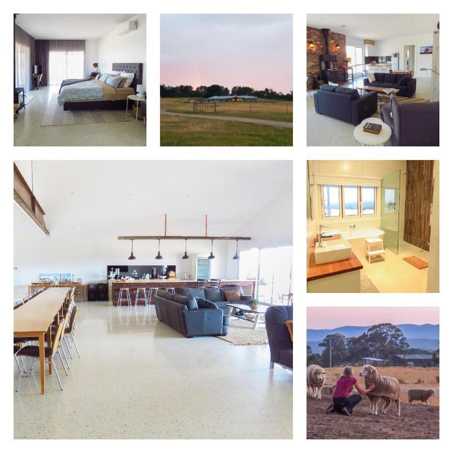 Rooks Edge Bed & Breakfast Gisborne Bagian luar foto