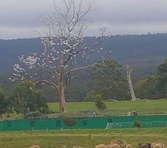 Rooks Edge Bed & Breakfast Gisborne Bagian luar foto